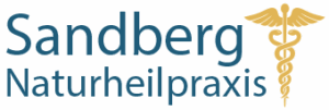 logo sandberg zeichenfläche 1